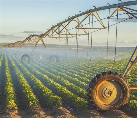 Agricultural Development .